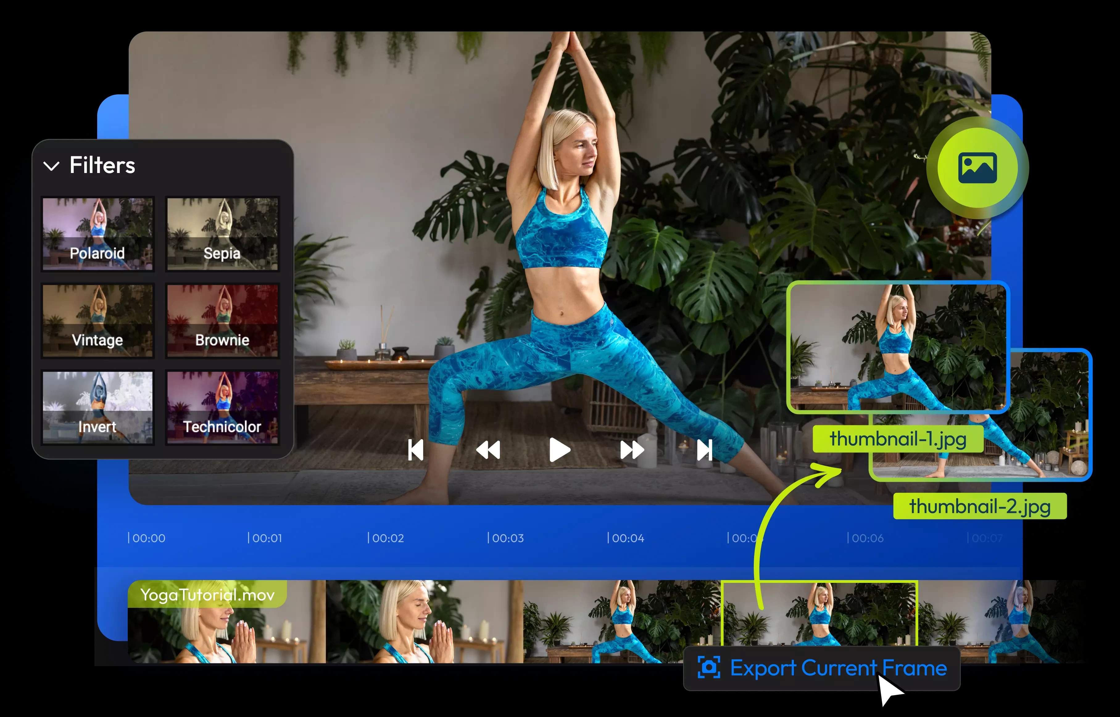 Video to Photo Converter